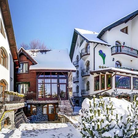 Pensiunea Crocus - Sauna & Billiard Пояна-Брашов Екстер'єр фото